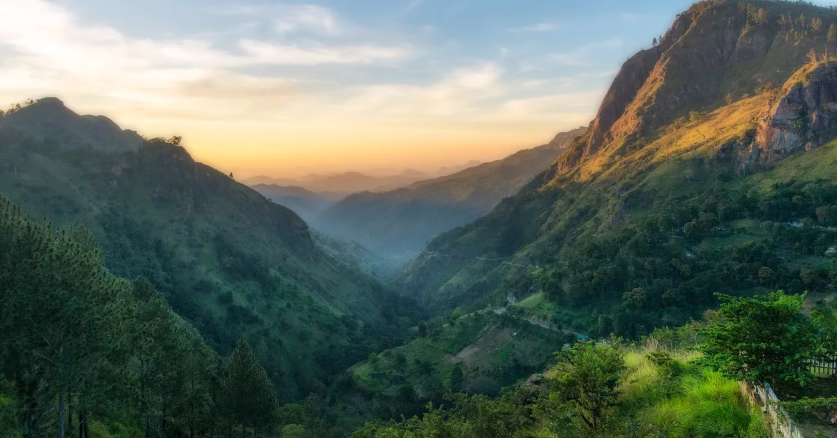Scenic view of Sri Lanka’s tropical coastline with golden beach and misty mountains at sunrise.