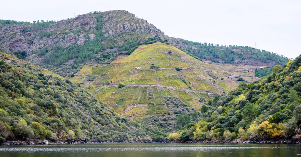 Ribeira Sacra vineyards – wine country