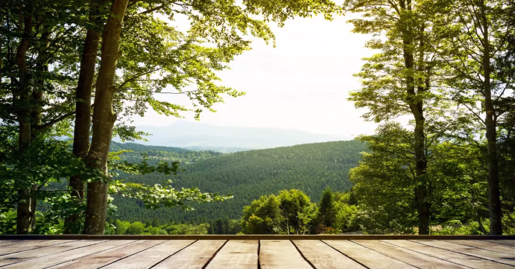 Hiker walking along shaded forest trail