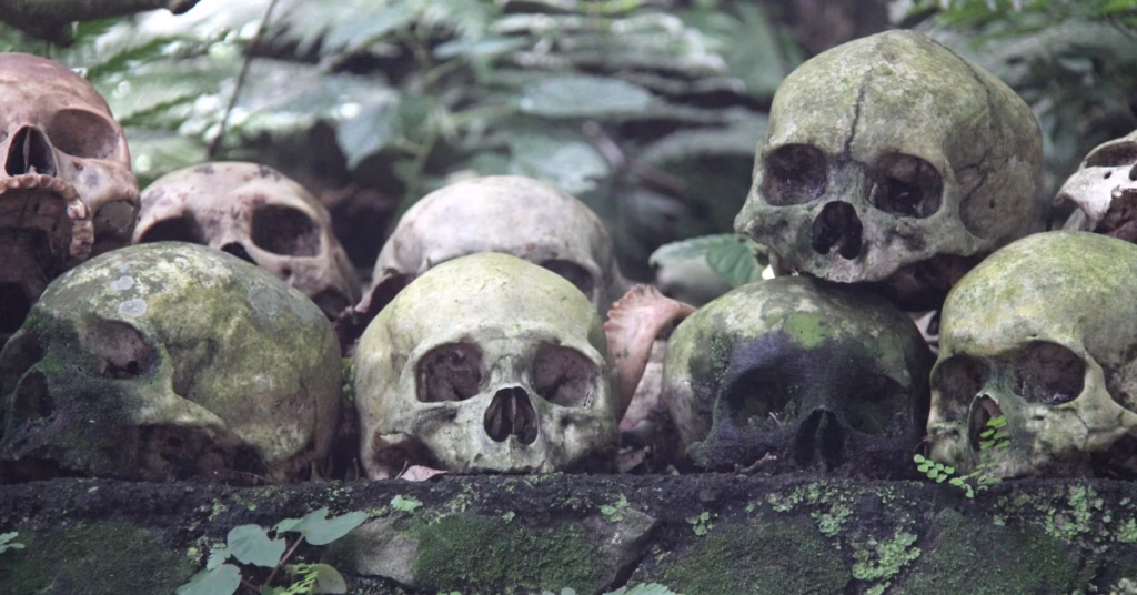 Traditional Trunyan cemetery with bodies preserved under sacred Taru Menyan tree