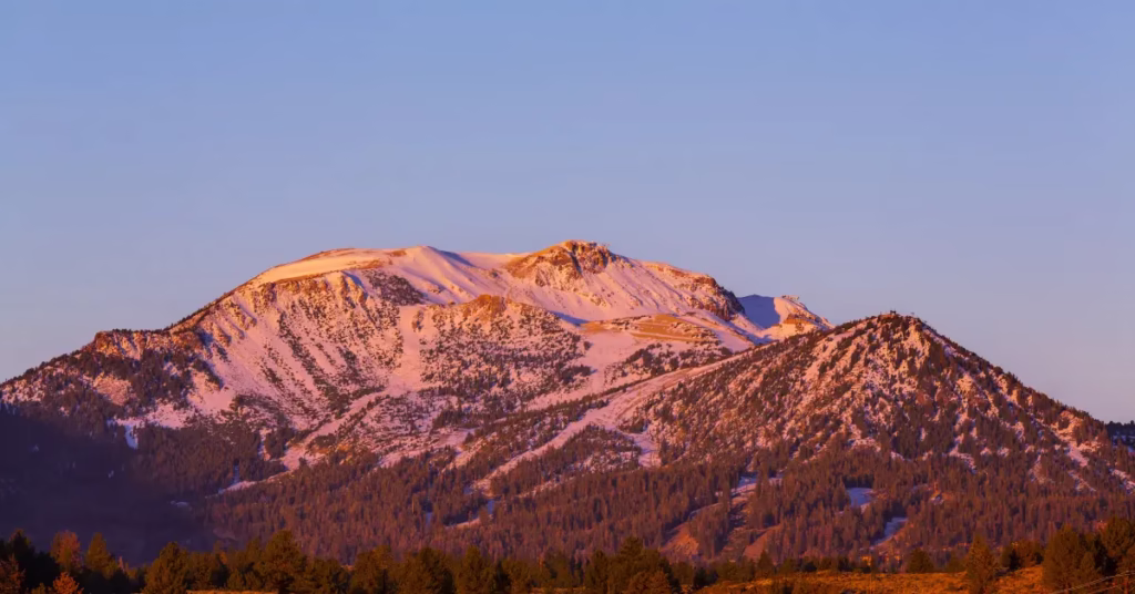 Sunrise illuminating jungle