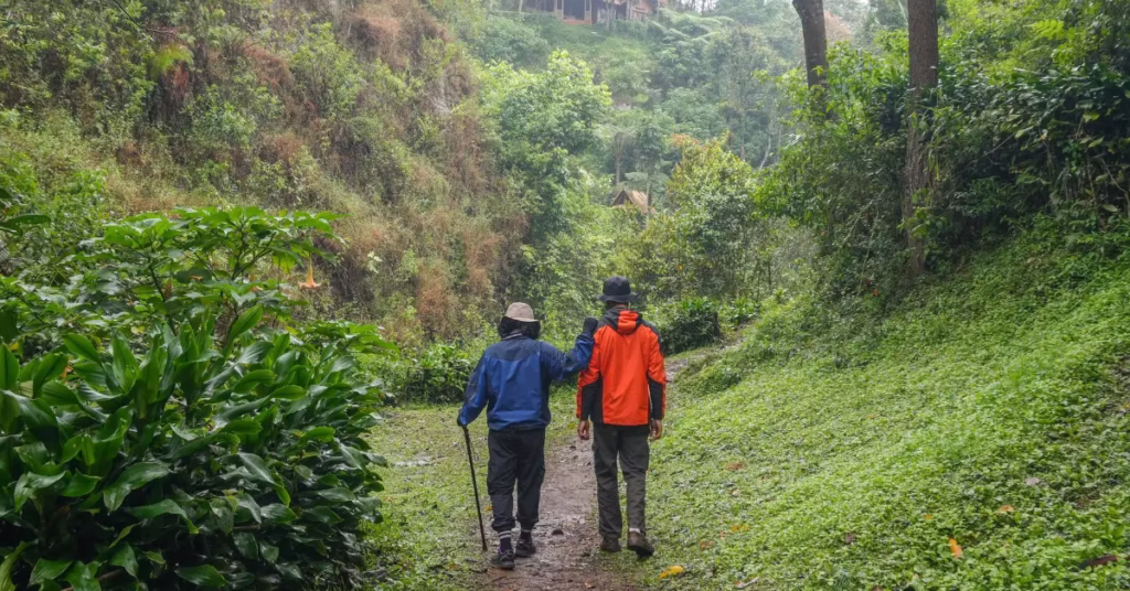 Trailhead for Hiking near Machete-Palma
