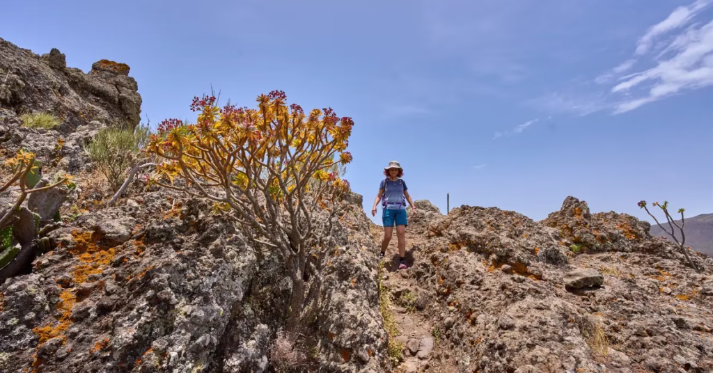 Trekker walking down forest trail on return from Hiking