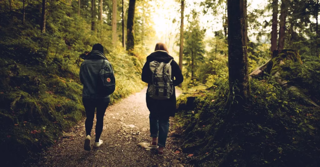 Guided group during Hiking